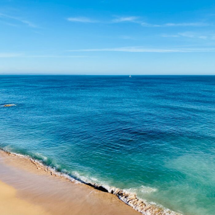 estevao-gueiros-ZWQhSOFCK_8-unsplash