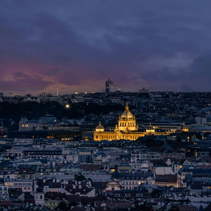 pexels-svetjekolem-11330616