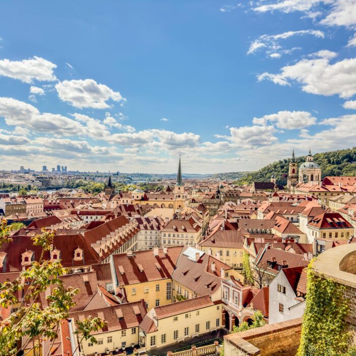 pexels-tina-p-891488179-22805876